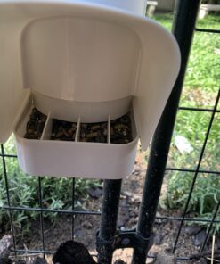 Royal Rooster Automatic Chicken Feeder with Gravity Feed Dispenser - 7lb Feeder for Chickens, Chicks & Mixed Poultry - Hanging Chicken Poultry Feeder - Auto PVC Chicken Poultry Feeder with Rain Cover 32 71jHeAx6fL