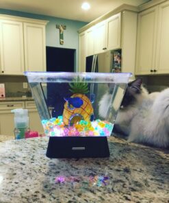 Tetra LED Betta Tank Kit 1 Gallon, Trapezoid aquarium With Base Lighting (24050) 33 71jIuk7AyL