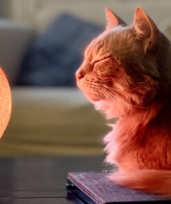 BRIGHTWORLD Moon Lamp Galaxy Lamp 5.9 inch 16 Colors LED 3D Moon Light, Remote & Touch Control Moon Night Light Gifts for Girls Boys Kids Women Birthday Wooden Base 50 71jNgUcQN5L