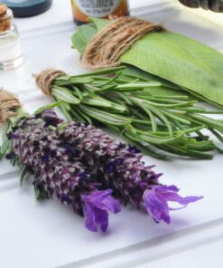 Alternative view of Healing Solutions 10ml Oils - Rosemary Essential Oil - 0.33 Fluid Ounces 0.33 Fl Oz (Pack of 1)