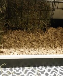 Small Pet Select Premium Small Animal Bedding, Natural Soft Paper Bedding for Small Indoor and Outdoor Pets, Made in USA, Jumbo Size 178 L Pack 45 71jQiWqvRvL