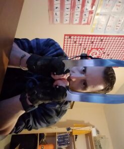 11" Stainless Steel Wolverine Fantasy Claw Set of 2 32 71jRPRbCIEL