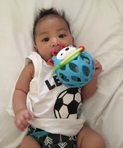 Skip Hop Baby Rattle Toy, Explore and More Roll Around Rattle, Hedgehog 52 71jRgMK83DL