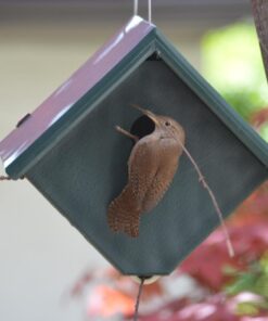 Songbird Essentials Recycled Plastic Wren House 7 71jSbwmzAqL