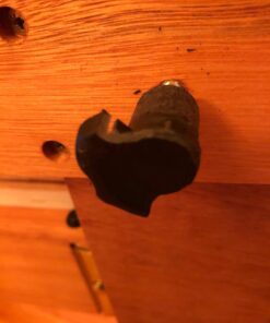 Jack Richeson Lyptus Wood "Dulce" Easel (JACK-840200) 14 71jTAZ6JBFL