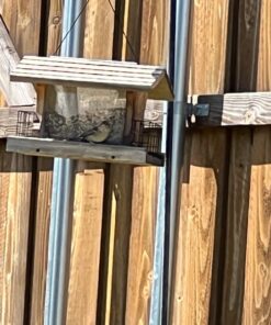 Wagner's 62012 Southern Regional Blend Wild Bird Food, 20-Pound Bag 32 71jTI3jCGqL