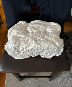 Pharmedoc Pregnancy Pillows, U-Shape Full Body Pillow – Air White Cover – Pregnancy Pillows for Sleeping – Body Pillows for Adults, Maternity Pillow and Pregnancy Must Haves 21 71jTz8OYlkL