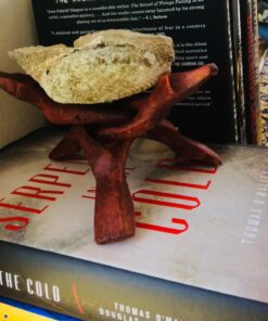 Govinda® Pearlized Abalone Shell Smudging Kit with Wooden Tripod Stand & White Sage Stick 7 71jUPLNK0oL