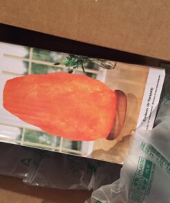 Himalayan Glow 1002 Crystal, 6-8 Lbs, Salt Lamp Himalayan Salt Lamp 80 71jUUydn8uL