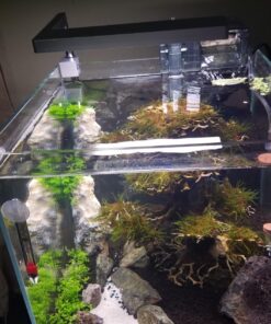 ONF Flat Nano Full Spectrum LED Aquarium Light, Dimmable 7000K / 1300lm, for <10 Gallons Rimless Fish Tanks, Freshwater Aquatic Plant Growth, Terrarium Spotlight, Potted Plant IP54 Waterproof (Silver) Silver 42 71jUdpDPULL