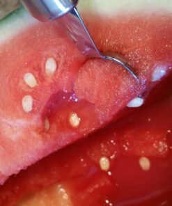 BCI Watermelon Slicer Corer Cutter Knife Tongs with Silicon Handle and Two Headed Melon Baller Set 54 71jWNPAHsGL