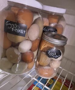 1790 Large Glass Jars with Lid - Wide Mouth 1 Gallon Glass Jar with Lid - Glass Gallon Jar for Kombucha & Sun Tea - Gallon Mason Jars are Large Glass Jars with Lids 1 Gallon for Food Storage - 2 Pack 30 71jWZpngxYL