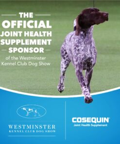 Nutramax Cosequin Joint Health Supplement for Cats - With Glucosamine and Chondroitin, 55 Capsules 23 71jXT29VRPL