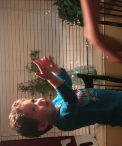 Dinosaur Bubble Gun Light Up Bubbles Shooter, Battery Operated Bubble Maker Toy for Toddlers & Kids, Sound-Free (Extra Refill Bottle and Batteries Included) Green Dinosaur 45 71jZC8vXxL