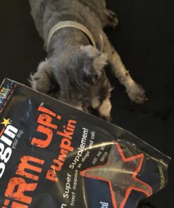 Diggin' Your Dog Firm Up Pumpkin for Dogs & Cats, 100% Made in USA, Pumpkin Powder for Dogs, Digestive Support, Apple Pectin, Fiber, Healthy Stool, 16 oz 16 oz (Pack of 1) 35 71jaghBHq1L