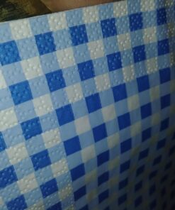 Blue Gingham Luncheon Napkins (bulk set 48) Event and Party Tableware Supplies 10 71jbczxtkQL