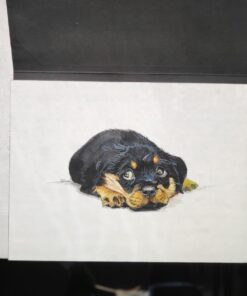 Paul Rubens Watercolor Paper Block, Artist Quality Hot Pressed Paper for Watercolors and Wet Media Block, 100 Percent Cotton, 10.63 x 7.68 inches, 140lb, 20 Sheets (Pink) Pink Cover-Block 10.63" x 7.68" 51 71jc9JRhcmL