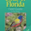 Birds Of Florida Field Guide Paperback