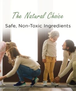 Moso Natural Shoe Odor Absorbers. A Scent Free Odor Eliminator for Shoes, Gym Bags and Sports Gear. Premium Moso Bamboo Charcoal Air Purifying Bag and Deodorizer. (One Pack of Two 75g Bags) 1 28 71jkC7FKORL