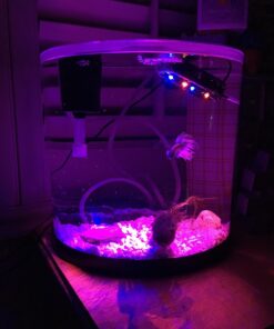 GloFish aquarium Gravel 5 Pounds, White, Complements GloFish Tanks (29022) White Frost 52 71jneHQb07L