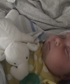 Mary Meyer WubbaNub Infant Pacifier, 6-Inches, Afrique Elephant 30 71joyKJvnUL