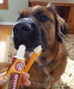 Arm & Hammer for Pets Fresh Breath Kit for Dogs | Contains Toothpaste, Toothbrush & Fingerbrush | Reduces Plaque & Tartar Buildup | Safe for Puppies, 3-Piece Kit, Chicken Flavor Dogs - Chicken Flavor 2.5 Oz (Pack of 1) 31 71jpYU2gMBL