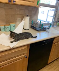 Viva Multi-Surface Cloth Paper Towels, Task Size - 12 Family Rolls (2 Packs of 6 Rolls) = 30 Regular Rolls (143 Sheets Per Roll), 286 Count (Pack of 6) 29 71js6Qqr9pL