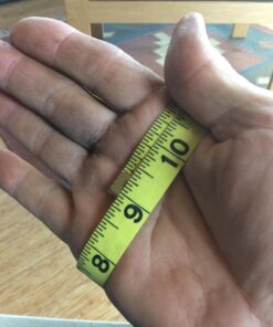 Husqvarna 579380210 Functional Saw Protection Gloves, Large Gray/Orange/Black Large 9 71juU42A L