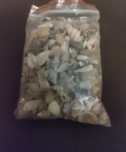 Tiny Miniature Fairy Garden Beach Critter Seashells Marine Life Collection for Art & Craft Project, Outdoor & Indoor Home Decoration, Party Favor, Invitation (4.5oz Bag, 500 Shell) 36 71jv4XKb2L 1