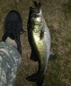 Okuma Voyager Spinning Freshwater Travel Kit, VS-605-20, Blue Fishing Rod Reel Combo 44 71jx8GrRChL