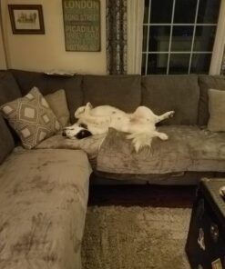 Bedsure Sherpa Fleece Throw Blanket for Couch - Thick and Warm Blanket for Winter, Soft and Fuzzy Throw Blanket for Sofa, Fall Throw Blanket, Grey, 50x60 Inches Throw (50" x 60") Dark Grey 27 71k0Anxe8pL