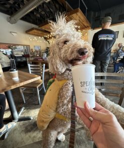 PetLab Co. Itch Relief Chew Pro for Dogs – Omega 3 for Dogs Itch Supplement - Packed with Beneficial Fatty Acids for Healthy Skin – Seasonal Allergies Support Single Pack 17 71k13befcIL