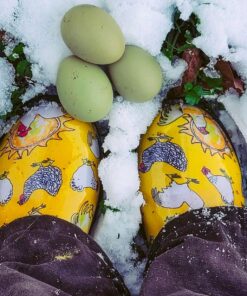 Sloggers Waterproof Garden Shoe for Women – Outdoor Slip-On Rain and Garden Clogs with Premium Comfort Support Insole 8 Chickens Daffodil Yellow 21 71k1HfrPEwL 1