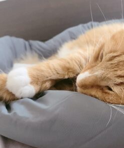 Huzi Infinity Pillow - Home Travel Soft Neck Scarf Support Sleep Grey 41 71k25O 0xL