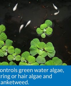 API POND ALGAEFIX Algae control 2.5-Gallon Bottle Pond Treatment 9 71k2tGG ItL