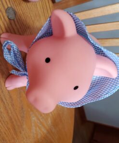 Schylling Rubber Piggy Bank Pink, 1 EA 29 71k45rrdQqL