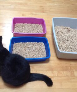 Van Ness Cat Pan - Medium (Assorted Colors) Blue 31 71k53b1wdeL