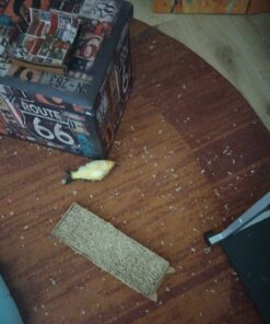 SmartyKat Scratch Up Corrugated Hanging Cat Scratcher, Catnip Infusion Technology - Brown, Single Wide Scratch Up (Catnip Infused) Single Pack 35 71k6Z0LtNxL