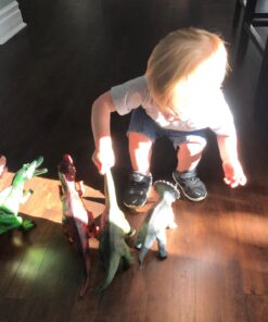 Boley 5 Piece Jumbo Dinosaur Set - Kids, Children, Toddlers Highly Detailed, Realistic Toy Set for Dinosaur Lovers - Perfect for Party Favors, Birthday Gifts, and More 5 Dino Set 52 71k74iN9bL