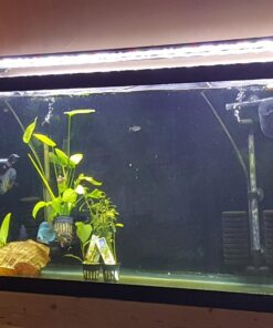 MarineLand Magnum Polishing Internal Canister Filter, For aquariums Up To 97 Gallons, 10.5 IN (ML90770) 36 71k8J8VuC7L