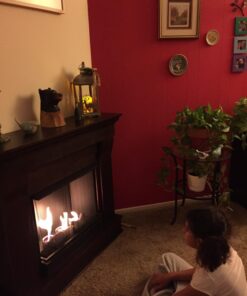 Real Flame Gel Fuel Cans - 12-Pack - Gelled Isopropyl Alcohol for Indoor or Outdoor Fireplaces 36 71kC PXlvL