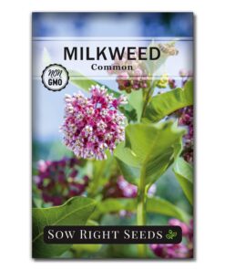 Sow Right Seeds - Milkweed Variety Seed Collection - Includes Butterfly, Common, and Showy Milkweed - Attract Monarchs and Other Butterflies to Your Garden - Non-GMO Heirloom Seeds 14 71kDO0cVuBL