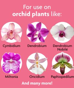 Miracle-Gro Ready-To-Use Orchid Plant Food Mist, 8 oz., Feeds Plants Instantly, 1 Pack 32 71kFLe69VRL