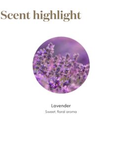 Young Living Lavender 5ml Essential Oil - Tranquil Aroma for Perfumes, Soothing Senses - Ideal for Massage, Relaxation, and Skin Care - Aromatherapy Diffuser 0.17 Fl Oz (Pack of 1) 18 71kFyuaqZEL