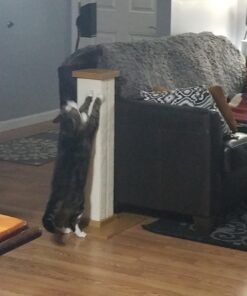 SmartCat Ultimate Scratching Post – Beige, Large 32 Inch Tower - Sisal Fiber, Simple Design - For All Cats Brown 41 71kHGvoeH1L