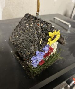 Edible Birdhouses | Reseedable Wooden Birdhouse Covered w/Birdseed | Squirrel Proof Bird Feeder | Made in The USA (SD) Short Dark Roof 28 71kHpoNmnRL