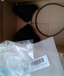 Hot Sweet Lovely Anime Halloween Cosplay Fancy Neko Cat Ears Hair Clip Black 24 71kK492iAaL