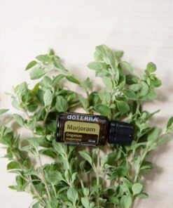 doTERRA - Marjoram Essential Oil - 15 mL Warm, herbaceous, woody 0.51 Fl Oz (Pack of 1) 12 71kMwLCsJL