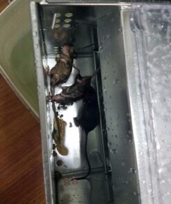 Ketch-All Mousetrap w/ Clear Lid 23 71kN 7H2iiL