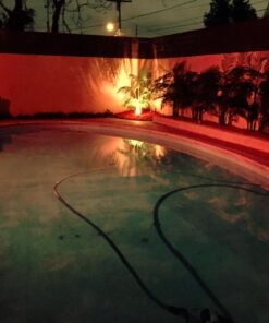 Nearly Natural 5390 Areca Palm UV Resistant Tree, 6.5-Feet, Green,85" x 9" x 9" 85" x 9" x 9" 18 71kS8yRWRL